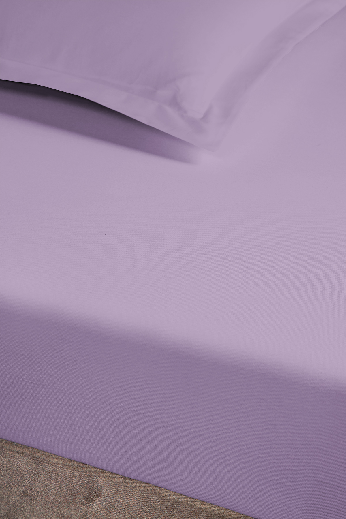 Pierre Cardin Lastikli Çarşaf Tek Kişilik 100x200 cm Lila