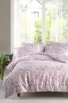 Pierre Cardin Pamuk Nevresim Takımı Çift Kişilik Blossom Pudra
