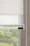Pliseli Zebra Perde Krem